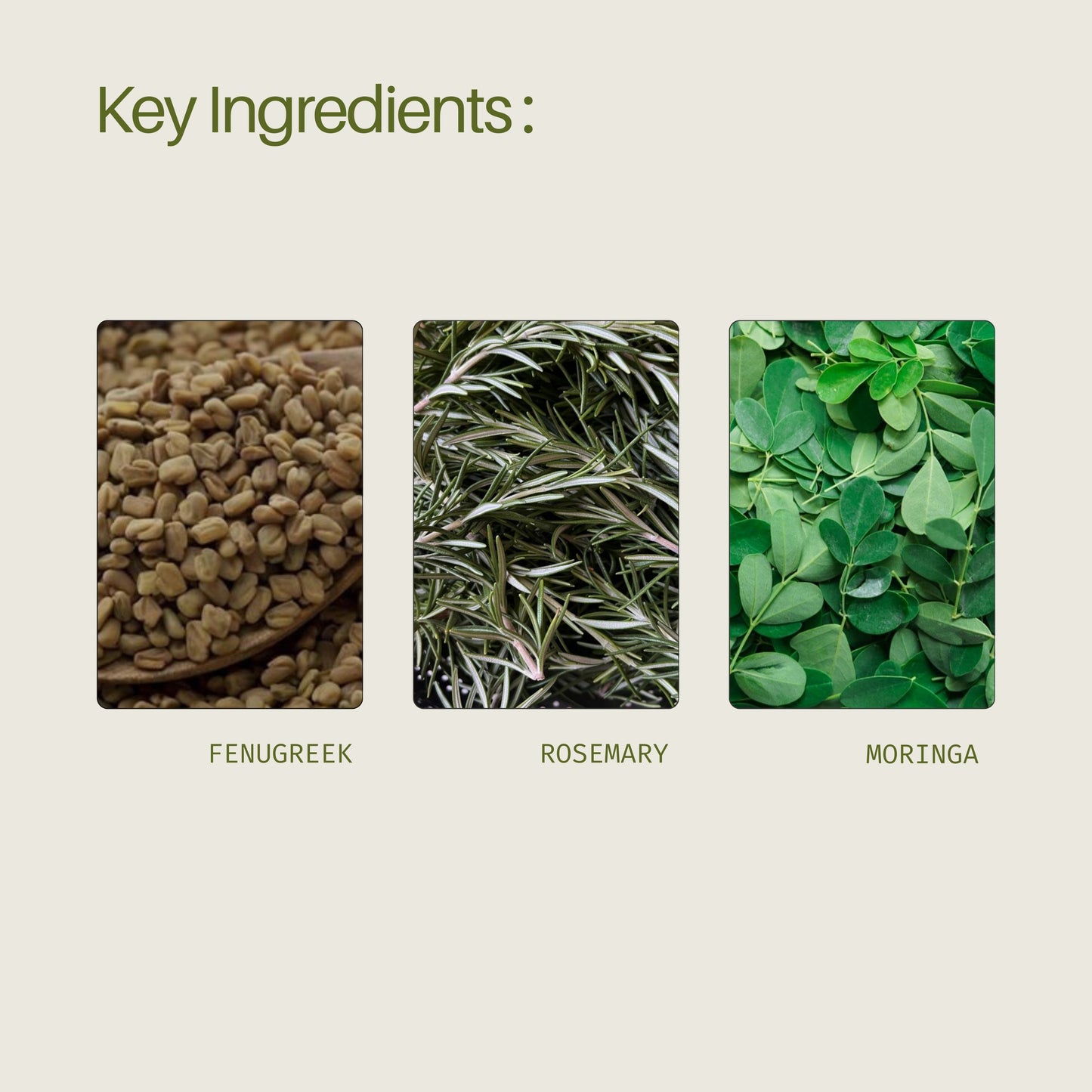 SCALP OIL